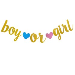 Banner Boy or Girl glitter