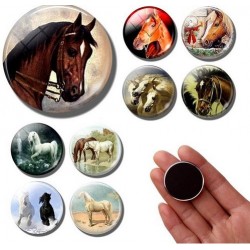 Koelkast magneten met een foto, afbeelding of tekst van je eigen paard