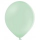 Ballonnen pastel pistachio 30 cm extra sterk voor helium of lucht per 10, 20, 50 of 100 stuks