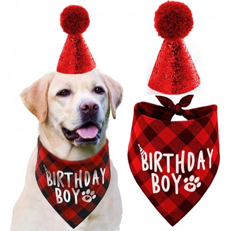 2-delige Honden verjaardags set Birthday Boy rood