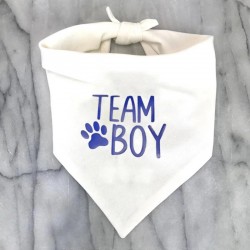 Gender reveal honden bandana Team Boy