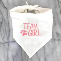 Gender reveal honden bandana Team Girl