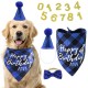 12-delige Honden verjaardags set Birthday Boy blauw
