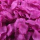 Aantrekkelijk geprijsd pak met 1000 rozenblaadjes lila