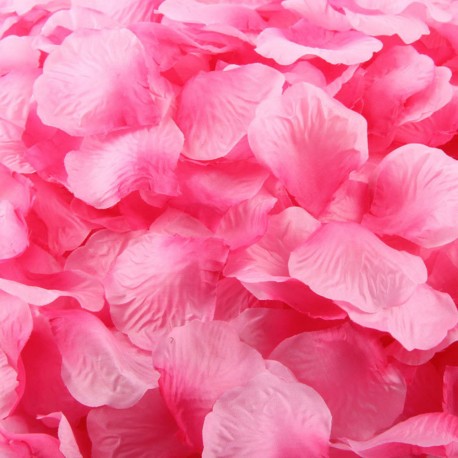 Aantrekkelijk geprijsd pak met 1000 rozenblaadjes roze