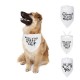 Honden bandana Will You Marry my Dad