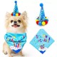 Honden verjaardagset 2-delig It's my Birthday blauw met feestmuts en bandana