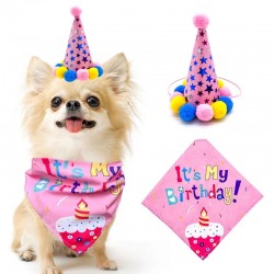 Honden verjaardagset 2-delig It's my Birthday roze met feestmuts en bandana