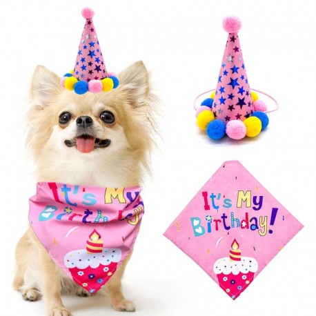 Honden verjaardagset 2-delig It's my Birthday roze met feestmuts en bandana