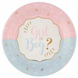 Genderreveal kartonnen bordjes Boy or Girl