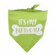 Honden bandana It's my Birthday groen