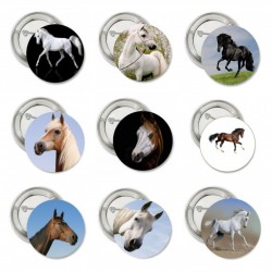 9 buttons Horses