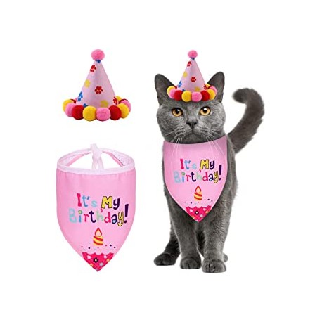 Poezen verjaardagset 2-delig It's my Birthday roze met feestmuts en bandana