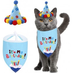 2-delige poezen verjaardagset 2-delig It's my Birthday blauw met feestmuts en bandana