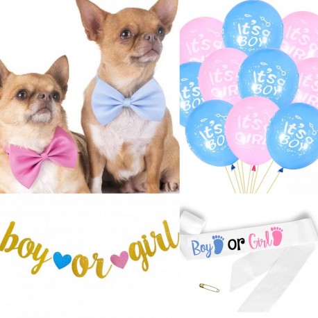 Genderreveal set met 2 honden strikken, 10 ballonnen, 1 slinger en 1 sjerp