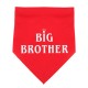 Honden bandana Big Brother rood met wit