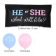 Genderreveal ballontas pakket