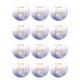 48 stickers Team Boy blauw wit goud