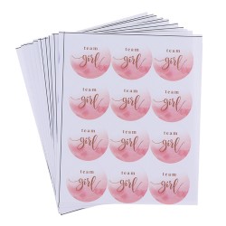48 stickers Team Girl roze wit goud