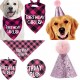 2-delige Honden verjaardags set Birthday Girl roze