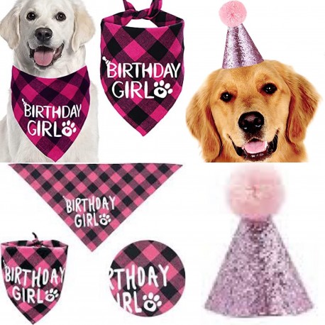 2-delige Honden verjaardags set Birthday Girl roze