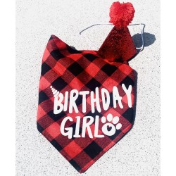 2-delige honden verjaardags set Birthday Girl rood