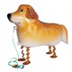 Ballon in de vorm van een Golden Retriever