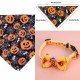 2-delige Halloween set voor huisdieren Pumpkin