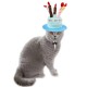 Soft pluche Happy Birthday hoed voor katten blauw