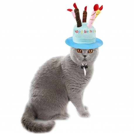 Soft pluche Happy Birthday hoed voor katten blauw