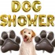 Folie ballon letters Dog Shower goud