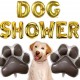 Folie ballon letters Dog Shower goud inclusief 1 grote airwalker retriever ballon en 2 grote poten