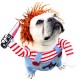 Honden kostuum Chucky the horror Clown 3-delig