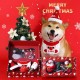 Kerst cadeau box voor honden deLuxe 4-delig met kerstmuts en -bandana/slab, knuffel en kauwspeeltje