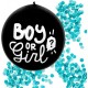 Genderreveal set Boy met grote ballon, servetten en bordjes