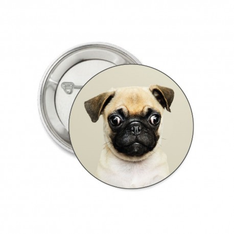 ﻿Button Pug