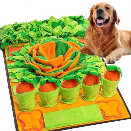 Honden activiteiten en snuffelmat Playing with Carrots