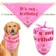 34-delige honden verjaardags set WOOF roze met stippels