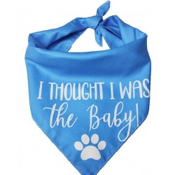 Honden bandana I Thought I was the Baby blauw met witte tekst en honden pootjes