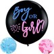 Boy or Girl XL ballon zwart 