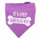 Honden verjaardags pakket Birthday Beer met bandana en koek Happy Birthday bot