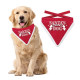 Kerst Bandana Santa's Favourite Dog Rood XL