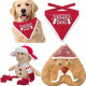 Honden kerst pakket met bandana, knuffel en kerstkoek